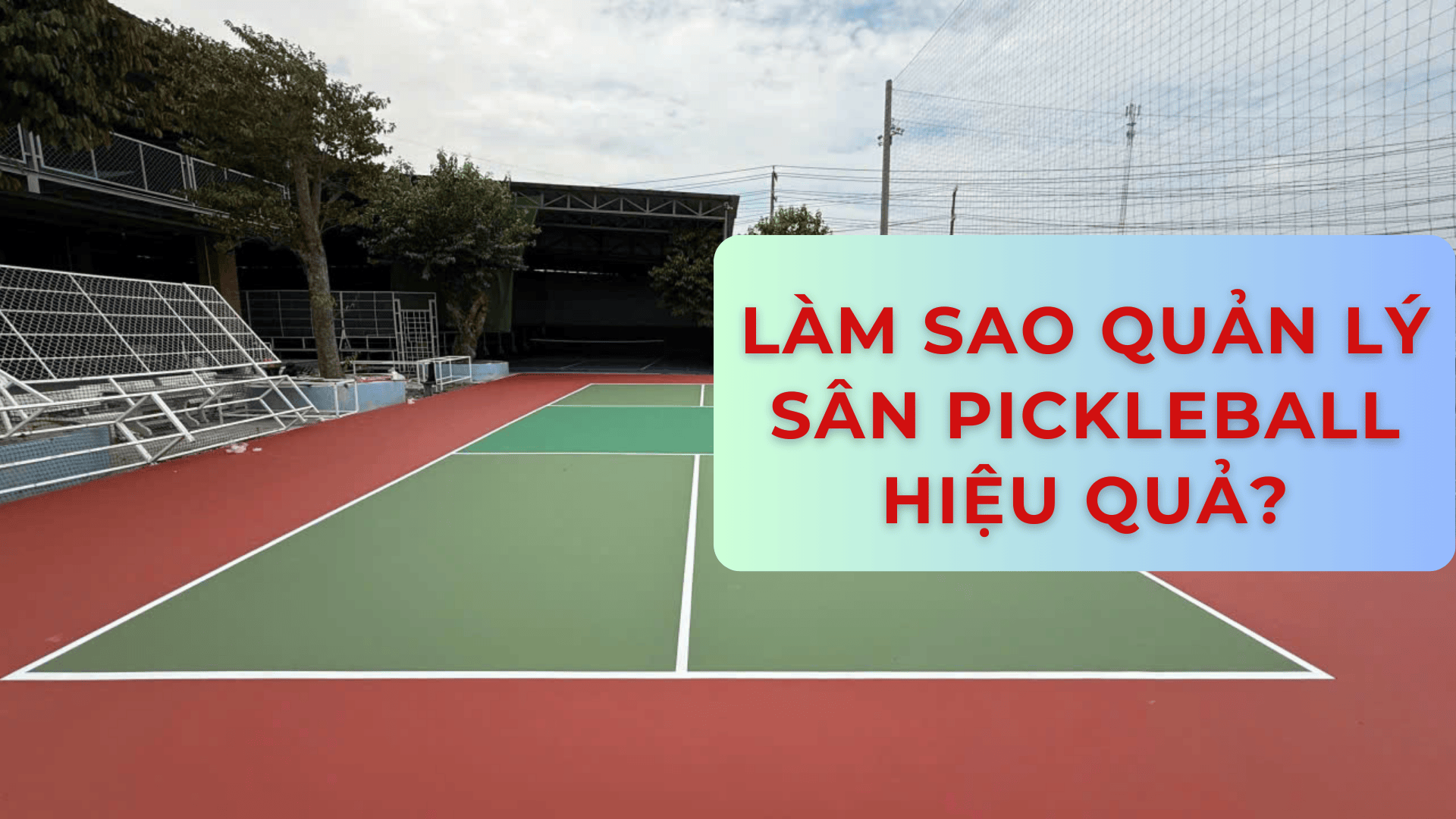 hinh-san-pickleball-3.png
